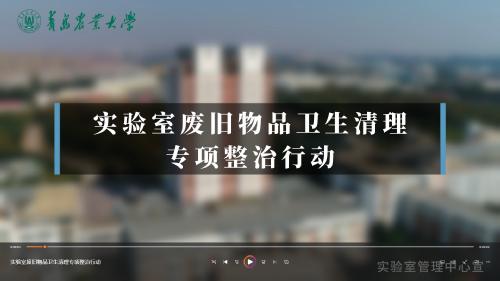 实验室废旧物品卫生清理专项整治行动